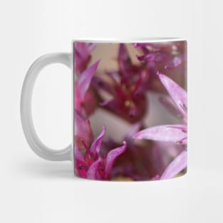 Flowers in Bloom. Mug